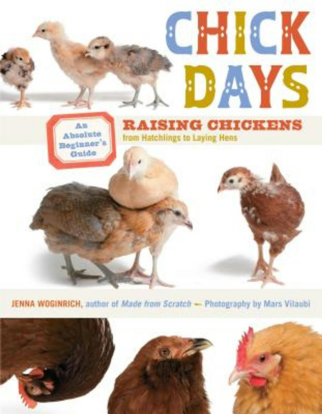 Chick Days: An Absolute Beginners Guide to Raising Chickens from Hatching to Laying