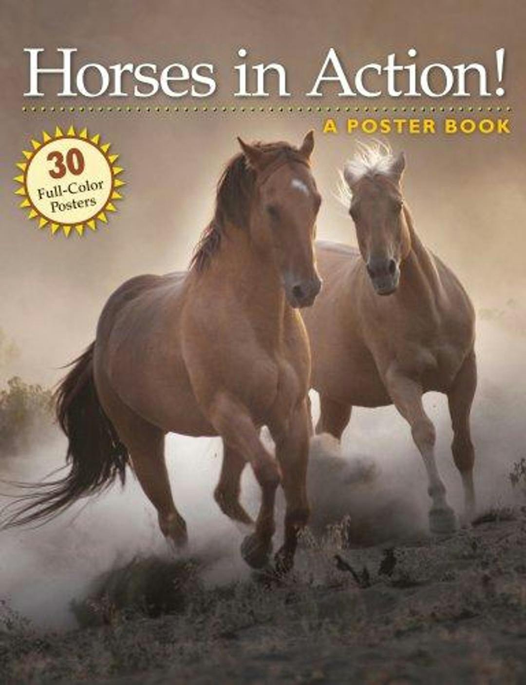 Horses in Action! A Poster Book