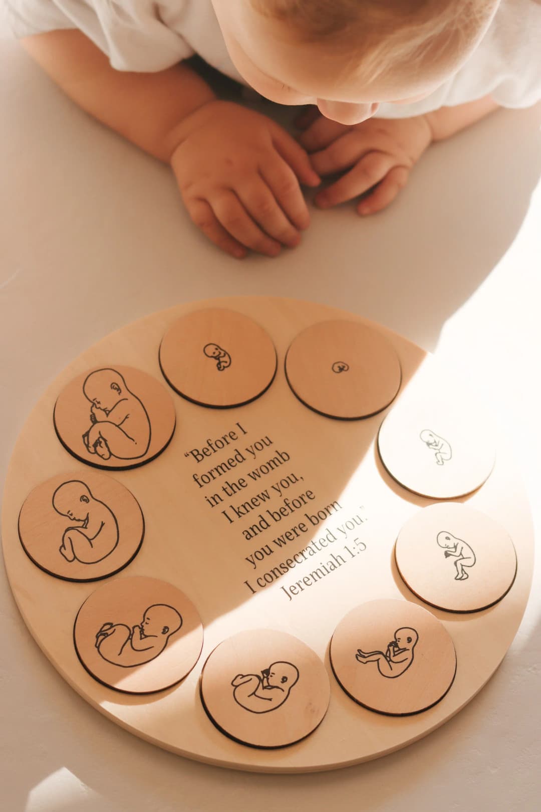 Wooden Miracle of Life Puzzle